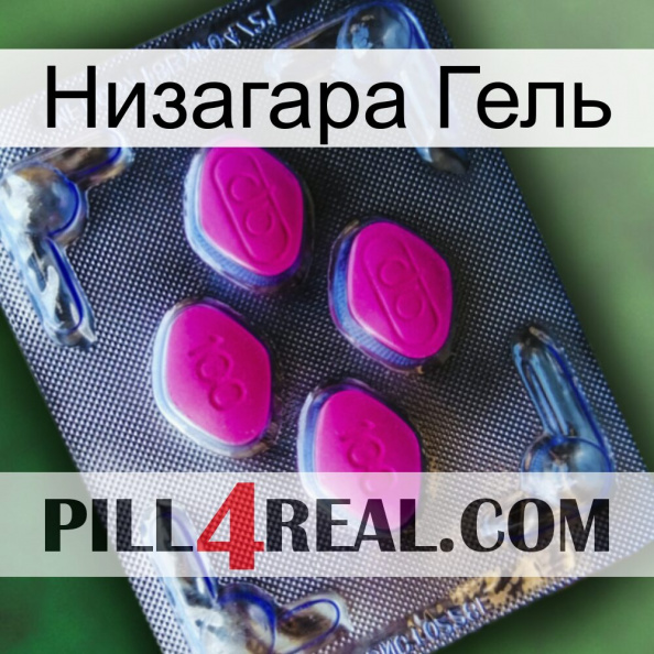 Низагара Гель 02.jpg